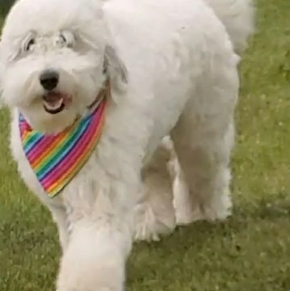 Meet your Posher, Hayley - Picture 8 of 16